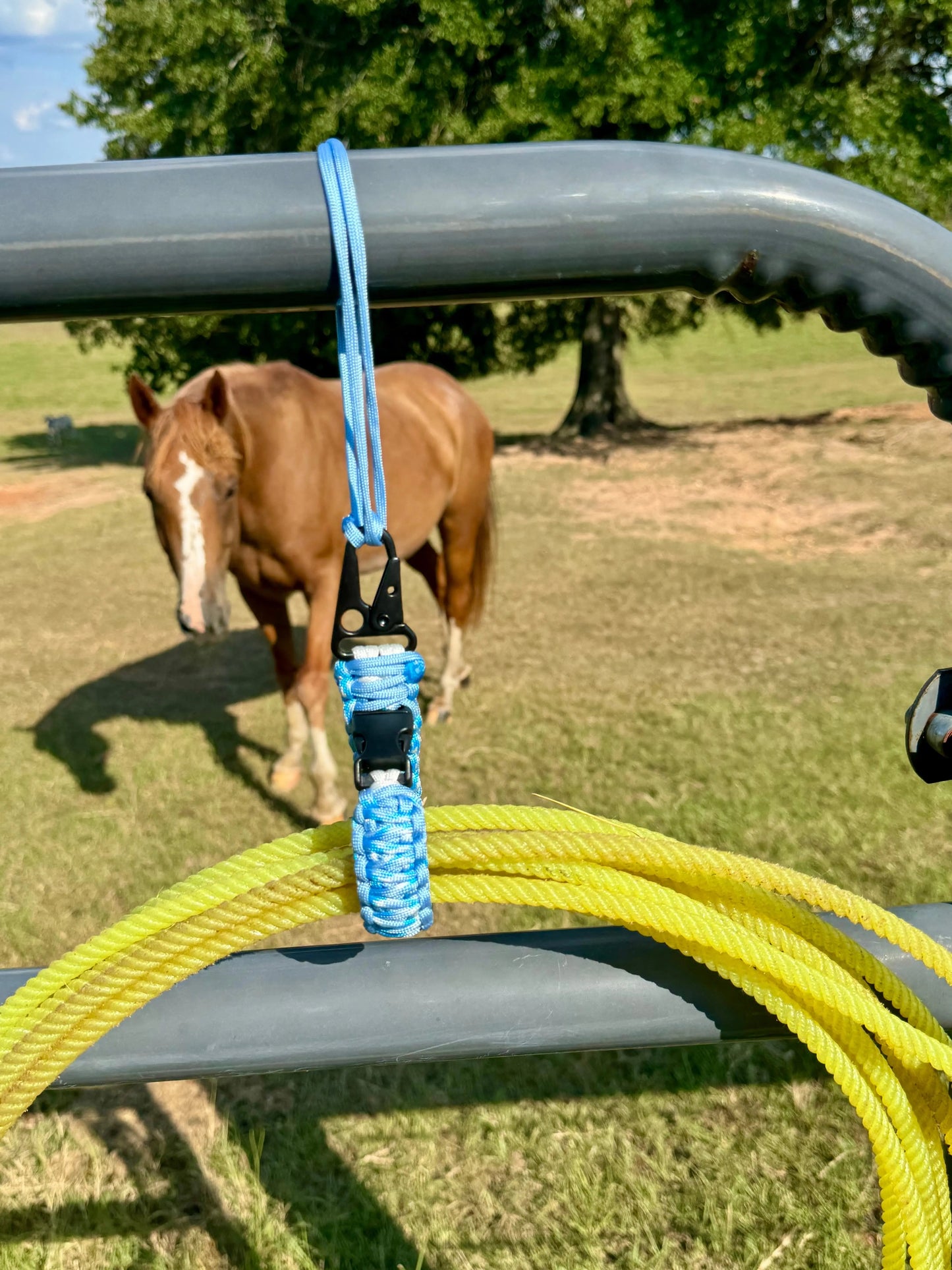 Team Rope & Tack Hanger – Heavy-Duty Horse & Rodeo Gear Organizer Swinging K Creations